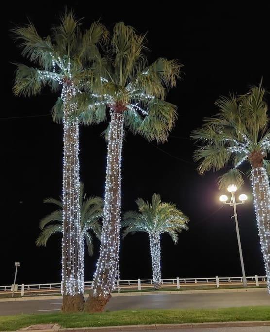 Apartment Promenade Des Vue Nizza